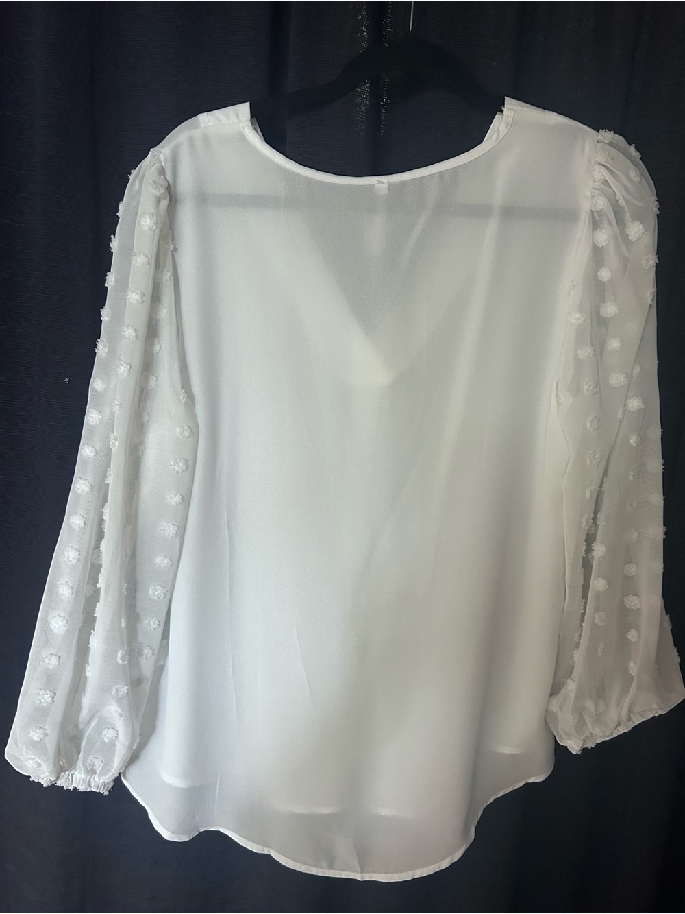 White V-Neck Blouse with Sheer Dot Sleeves - Picture 2 of 3